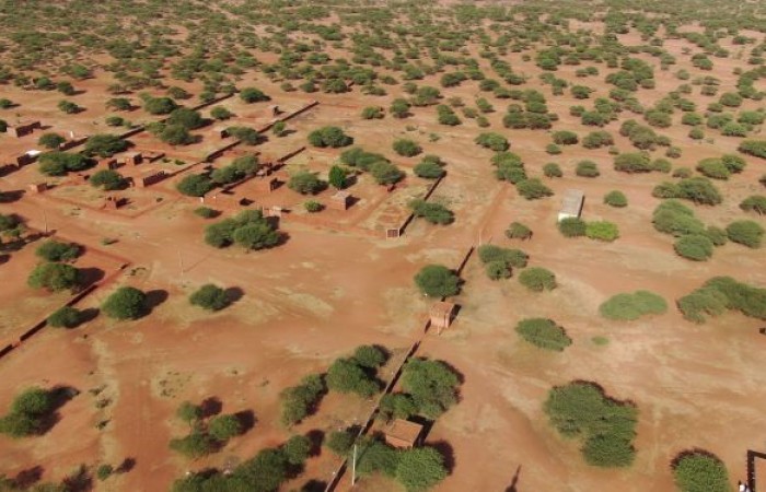 خلاوي ود المقبول بغابات أب جلفة ,انطلاقة المشورة للتقييم الاستراتيجي البيئي والاجتماعي لاستراتيجية الحد من اثار إزالة و تدهور الغابات