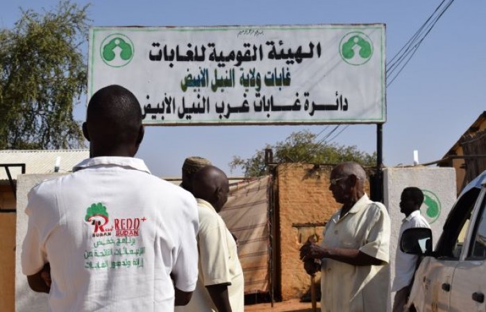 Urban afforestation workshop, Tendelti - White Nile State