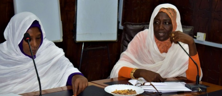 Training workshop on the monitoring and mapping of forest fires