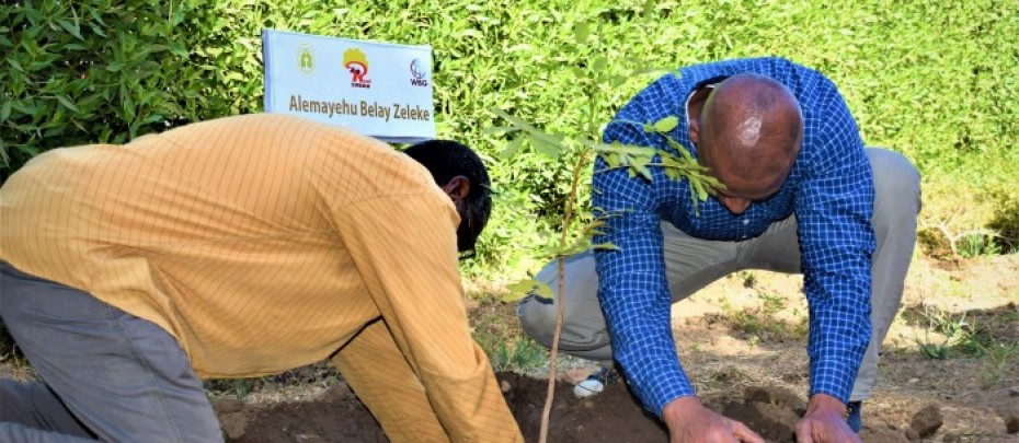 World Bank Mission November, 2019