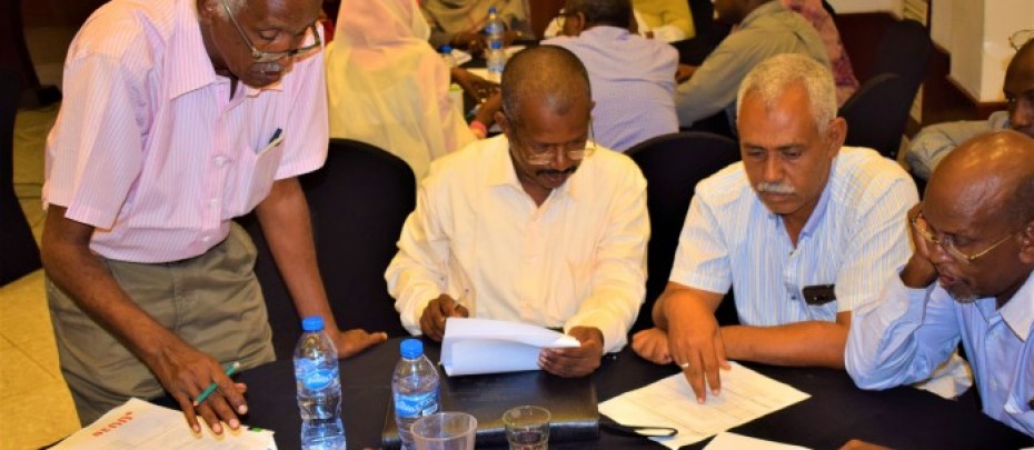 Stronger institutional capacities for better forest monitoring and planning in Sudan, Workshops for SFMS Institutional Capacity Needs and Gaps Assessment