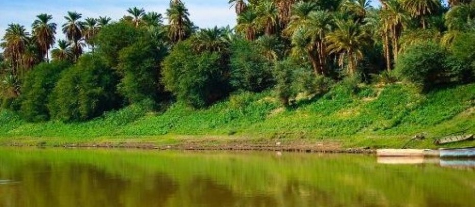 Workshop on  Social and environmental safeguards  for REDD+ , Northern Sector