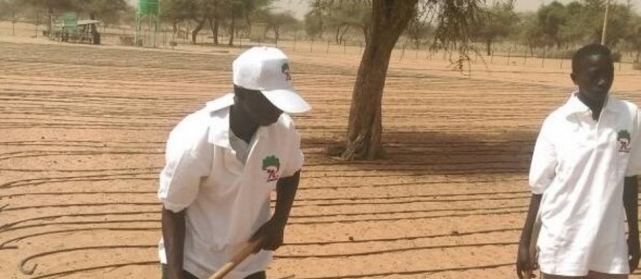 Participation of REDD+ in the Development of Sustainable School Feeding , seedling project , in North Kordofan State, 4 February 2018