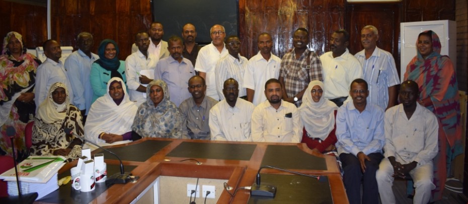 The R-Package study, self-assessment process