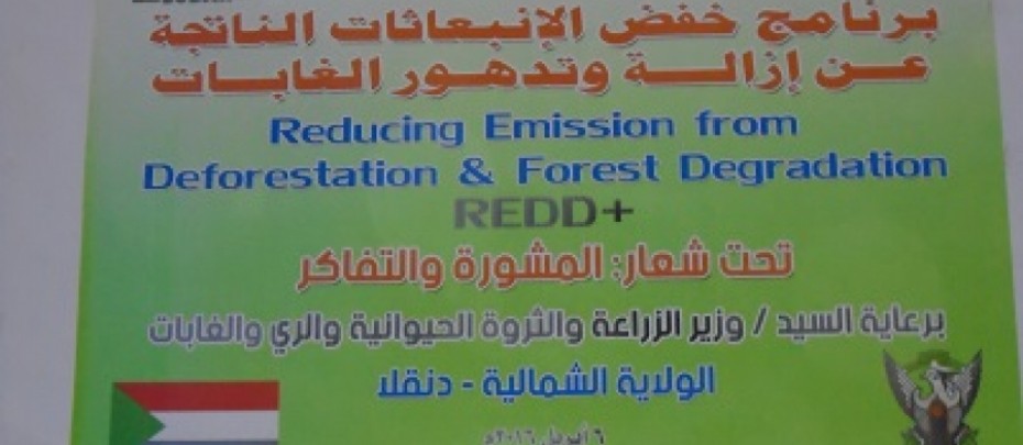 ورشة التشاور والتفاكر الولاية الشمالية