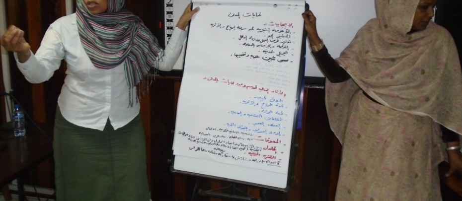 ورشة عمل تدريبية عن الضمانات البيئية والاجتماعية (Safeguards) بولاية الخرطوم