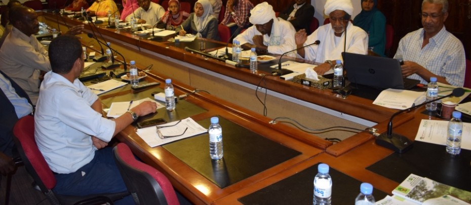 Steering Committee ,  Meeting NO, 4