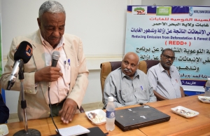 Awareness campaign For REDD+ programmer  ,Red sea state, 3 October 2018