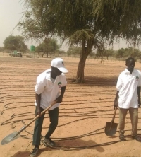 Participation of REDD+ in the Development of Sustainable School Feeding , seedling project , in North Kordofan State, 4 February 2018