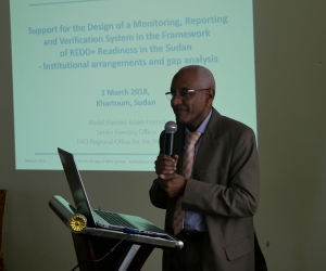 Support for the Design of a Monitoring, Reporting and Verification System, Institutional arrangements and gap analysis, 1 March 2018